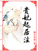 贵妃起居注小说讲的什么